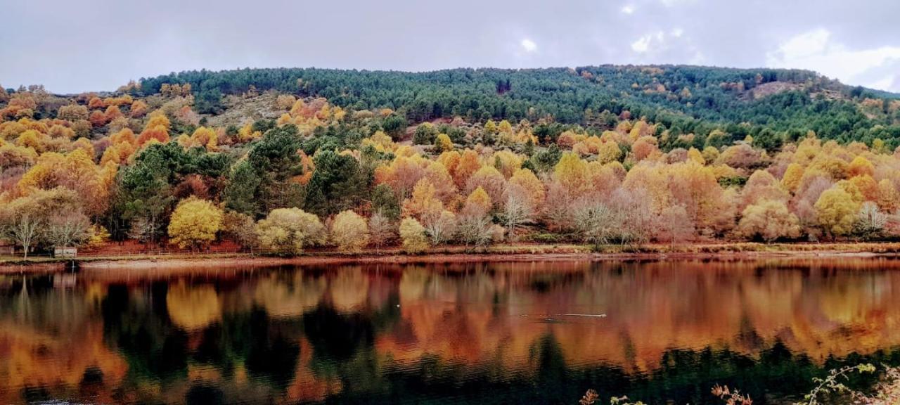 Apartamento El Corazon De Gredos アレーナス・デ・サン・ペドロ エクステリア 写真